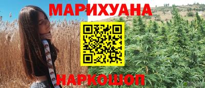 прущие грибы Ноябрьск
