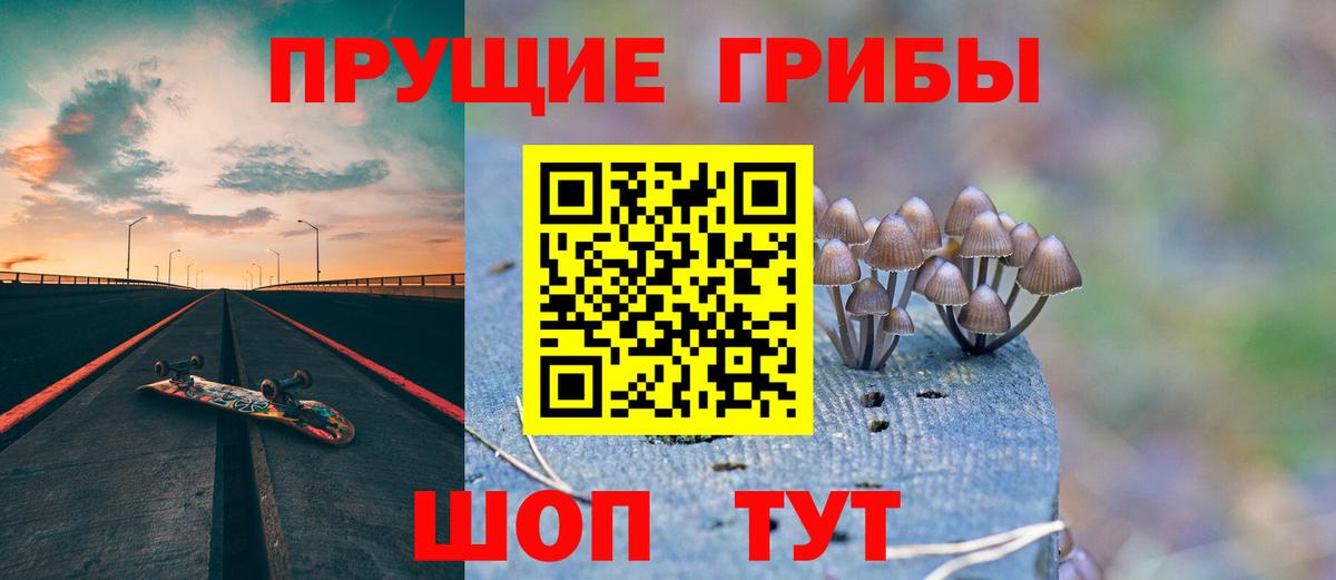 Псилоцибиновые грибы прущие грибы  Вход с VPN  Кыштым  Псилоцибиновые грибы мицелий 